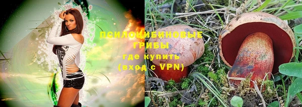 мдпв Строитель