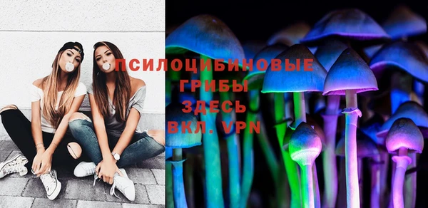 мдпв Строитель