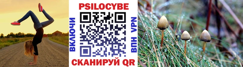 Галлюциногенные грибы прущие грибы Купить Агидель