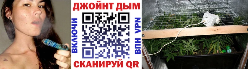 Марихуана Amnesia Агидель